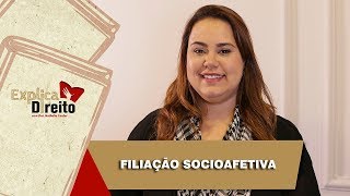 Explica Direito Filiação Socioafetiva  2019 [upl. by Filler]