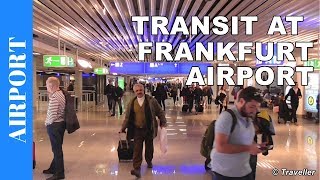 TRANSIT WALK AT FRANKFURT Airport FRA Terminal 1  Connection Flight Transfer Arriving amp Departing [upl. by Ydissak869]